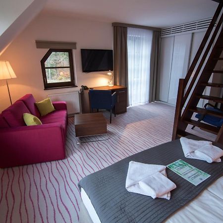 Aparthotel Flinski Sport&SPA Świeradów-Zdrój Rum bild